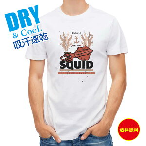 ނ TVc AEghA SQUIDiCJj ނ  A[ T Vc Y  S  t  H Ci[  ʔ 傫TCY  |GXe 