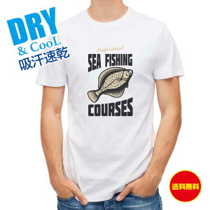 ނ TVc AEghA FLAT FISH iJCj ނ  A[ T Vc Y  S  t  H Ci[  ʔ 傫TCY  |GXe 