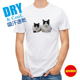 かわいい Tシャツ シロクロ二匹 ネコ 猫 ねこ 雑貨 かわいい T シャツ メンズ 半袖 ロゴ 文字 春 夏 秋 インナー 安い 面白い 大きいサイズ 洗濯 ポリエステル 送料無料