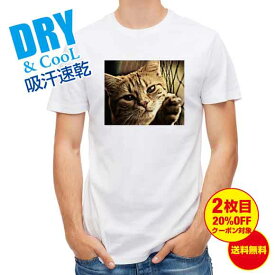 かわいい Tシャツ ビンテージな猫 ネコ 猫 ねこ 雑貨 かわいい T シャツ メンズ 半袖 ロゴ 文字 春 夏 秋 インナー 安い 面白い 大きいサイズ 洗濯 ポリエステル 送料無料
