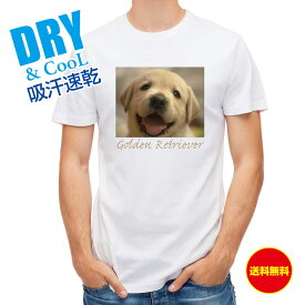 かわいい Tシャツ ゴールデンレトリバーの子犬 犬 イヌ いぬ 雑貨 かわいい T シャツ メンズ 半袖 ロゴ 文字 春 夏 秋 インナー 安い 面白い 大きいサイズ 洗濯 ポリエステル 送料無料