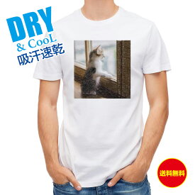 かわいい Tシャツ 窓際の猫 猫 ネコ ねこ 雑貨 かわいい T シャツ メンズ 半袖 ロゴ 文字 春 夏 秋 インナー 安い 面白い 大きいサイズ 洗濯 ポリエステル 送料無料