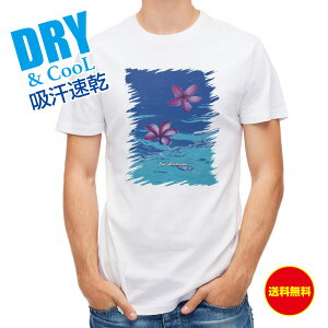 ނ TVc AEghA C̕i Cʂɉ C i wi T Vc Y  S  t  H gbvX  ʔ 傫TCY  |GXe 