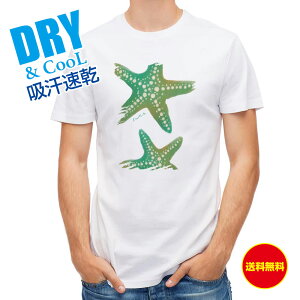 ނ TVc AEghA Starfish qgf ނ  A[ T Vc Y  S  t  H Ci[  ʔ 傫TCY  |GXe 