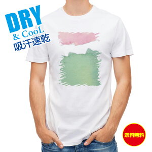 ނ TVc AEghA ʃsN&O[ T Vc Y  S  t  H gbvX  ʔ 傫TCY  |GXe 