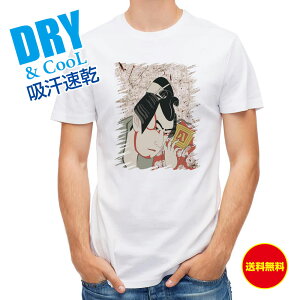 ނ TVc AEghA G ̕ a a ̕ ` T Vc Y  S  t  H gbvX  ʔ 傫TCY  |GXe 