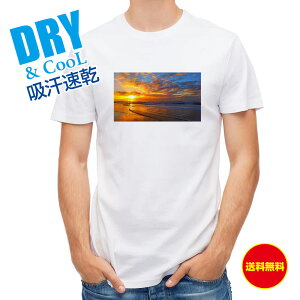  TVcĂ̊C ނ  A[ T Vc Y  S  t  H Ci[  ʔ 傫TCY  |GXe 