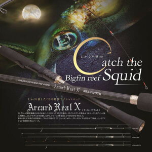 SLASH (�X���b�V��) ARX-802GTR ARCARD�@REAL-X (�A�[�J�[�h���A��X) ���摜�͊e�T�C�Y���ʂł��B