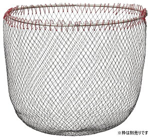 _C (Daiwa) ֖  50 ubN