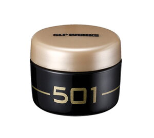 _C SLPW RlN^[OX 501 10g daiwa