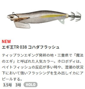 YAMASHITA (}V^) GMTR 3.0 038 Rn_tbV eBbv