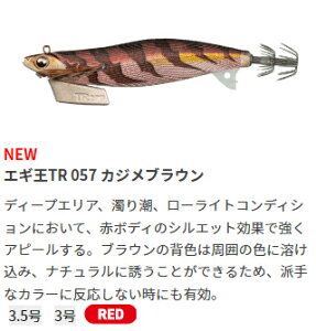 YAMASHITA (}V^) GMTR 3.0 057 JWuE eBbv