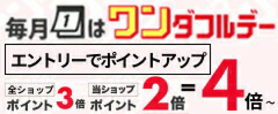 ワンダルフルデー ポイントアップ