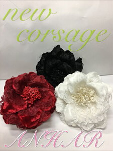 xART[W@AAԂ3FB  w p[eB[  wA[ANZT[ 傫͖10cm cos RT[W@10000