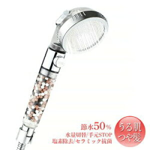 10OFFN[| yւʃZ~bN{[ƃpbLtz g P ┯ɗD ߐV[wbh 3iK ʒ 3ނ̓VRz f L 򉻌