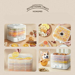�H�i�����@ �h���C�t���[�c ���[�J�[ �v�`�J�� �t�[�h �h���C���[ 5 �w �h���C�t�[�h ���[�J�[ �f�B�n�C�h���[�^�[ ��� �����@ �ቷ �����@ �w���V�[ �X�i�b�N ��� �^�C�}�[ �@�\ �R���p�N