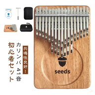 親指ピアノ 送料無料 ケース 41音 41音 楽器 初心者セット 教本 入門書 チューニング済み 指サック サム…