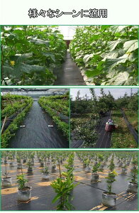 �h���V�[�g �����V�[�g �G���h�~�V�[�g �G���V�[�g �ڂ������V�[�g �G���h�~ 1m 10m 20m 50m 100m �G���΍� �s�D�z ������ ���� ���i��
