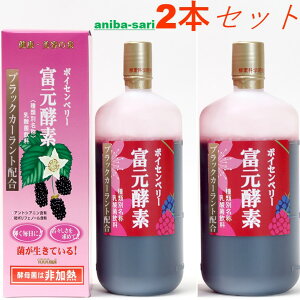 【感謝デー】初回購入後500円クーポンポイント18倍ゴールド酵素小ボトル2本プレゼント送料無料 冨元酵素 ボイセンベリー ブラックカーラント1000ml 2本セット ファスティング最適酵素 腸内フ