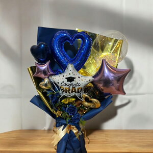 Ǝo[o`iANAu[jo[ԑ@ o[Ƒԁ@Ǝ ԑ o[u[P o[o` j  @ANAo[ 킢 CX^f  