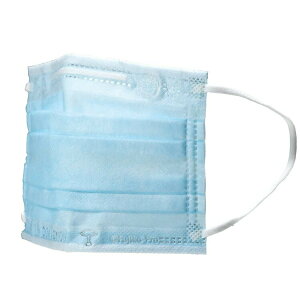 ドラえもん MSKPE4 不織布プリーツマスク 大人用 10枚入 I'm Doraemon