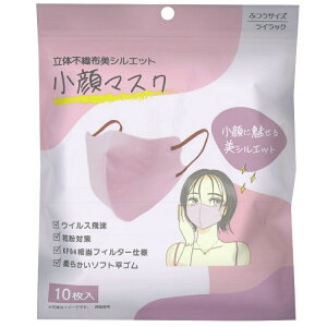 }XN ̕sDzVGbg ʃTCY 10 CbN