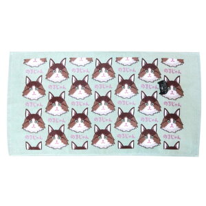 ̂邶 tFCX^I mWtHXgLbg jjj[h 197039