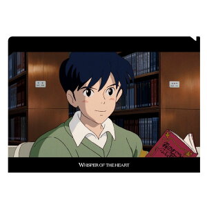 ܂ A4NAt@C }ق̐i 794822