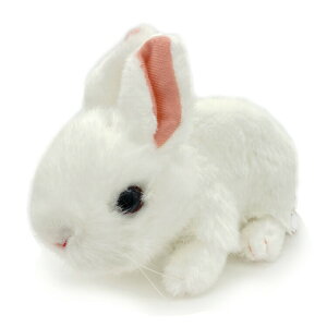 ETM ʂ zCg 肭̂Ȃ܂ 533037