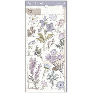 Peper&Plant XebJ[ puerple 816848