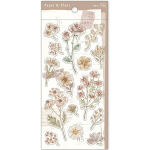 Peper&Plant XebJ[ brown 816855