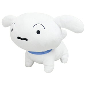 N񂿂 SN42 ʂ M V lVer. 904768