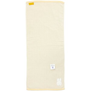 ~btB[ ObY tFCX^I R[fB[~btB[ 884531