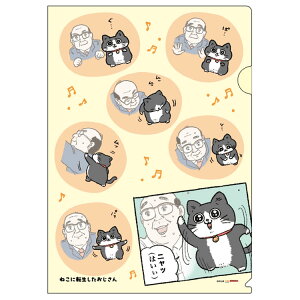 ˂ɓ] ObY NAt@C A4 ̑ 734880