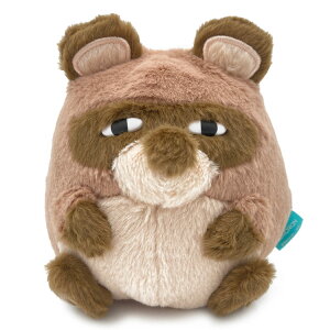 ̃J[rB ObY KF11 ʂ | tY