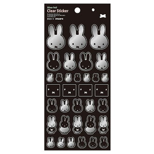 ~btB[ ObY NAXebJ[  052661