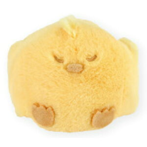 pp ʂ S  qR CG[ 051007