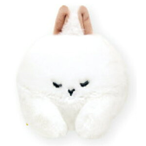 pp ʂ S Qׂ ETM zCg 051021