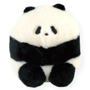 pp ʂ S  p_ zCg 051038