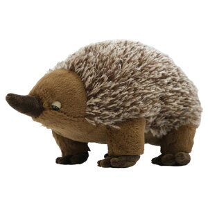 tbtB[Y ʂ M nO 051045