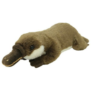 tbtB[Y ʂ M JmnV 051052