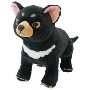 tbtB[Y ʂ M ^X}jAfr 051069