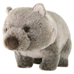 tbtB[Y ʂ M EHobg 051090