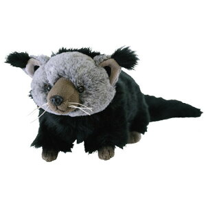 tbtB[Y ʂ M rgO 051106