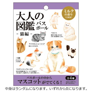 yg̓_z l̐} oX{[ L ~N̍  }XRbg S4 226098