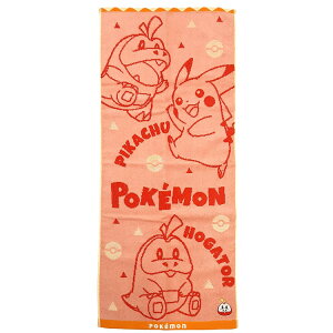 �|�P�b�g�����X�^�[ �t�F�C�X�^�I�� �z�Q�[�^ 084501 pokemon �|�P����