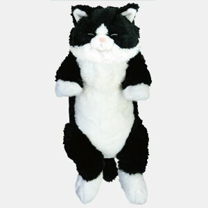 Ђ˂ ₷ʂ n` L 킢 051281