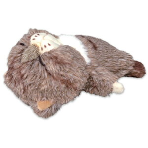 ڂ݂Ȃ˂ ʂ S ڂ cV}}lR L Qp 킢 lRȃV[Y