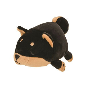 }V}Aj} }XRbg  Rec ʂ  Č VoCk 312570