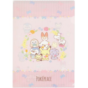 |PbgX^[ |P Gx[vtNAt@C |Ps[X 642206